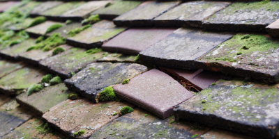 Walton roof repair costs